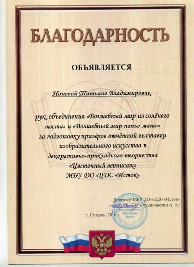 Благодарность. ЦДОД.2016.jpg
