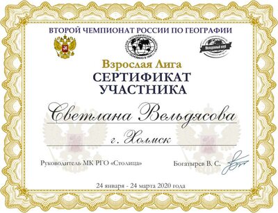 сертификат участника взрослые Светлана Вельдясова.png