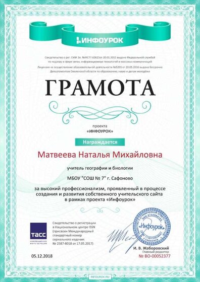 Грамота за высокий профессионализм создания сайта infourok.ru  2018.jpg