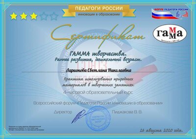 26.Ларионова Светлана Николаевна.pdf.jpeg