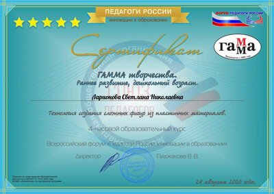 28.Ларионова Светлана Николаевна.pdf.jpeg