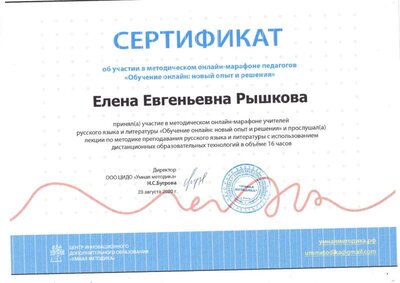 img297.jpg