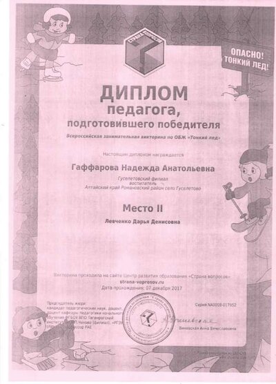 диплом7.jpeg