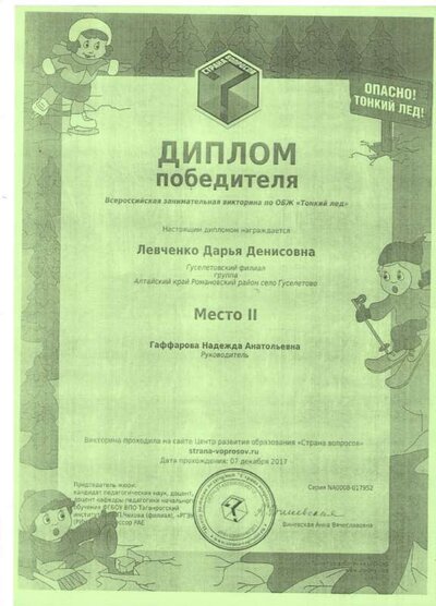 диплом6.jpeg