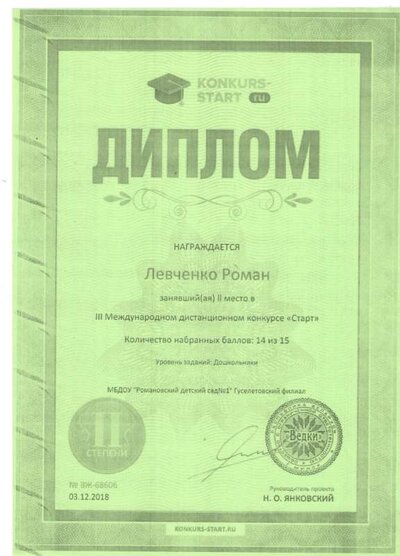 диплом е.jpeg