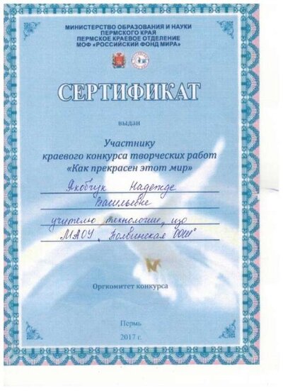 Сертификат Как прекрасен этот мир.jpg