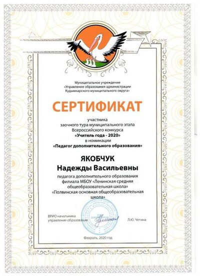 Сертификат учитель года в номинации доп образование.jpg