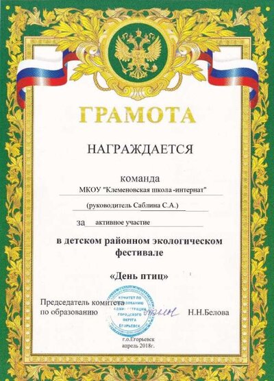 день птиц.jpg