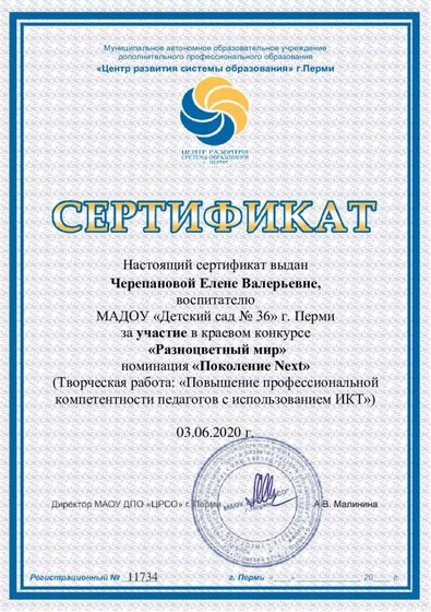 Сертификат Черепановой Елене Валерьевне.pdf.jpeg