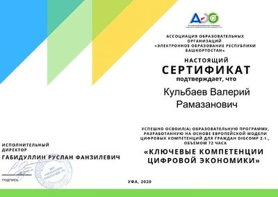 cert цифр грамотность.pdf.jpeg