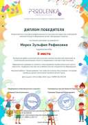 winner_diploma 2 место проф.мастер.pdf.jpeg