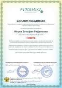 winner_diploma 1 место проф.мастер.pdf.jpeg