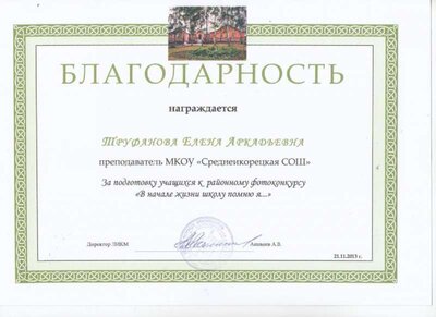 благодарность 2013.jpg