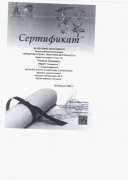 Рисунок (80).jpg