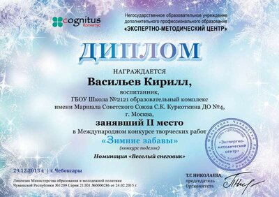 диплом_3.jpg