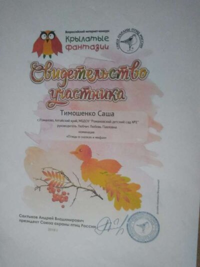 IMG_20201011_110904.jpg