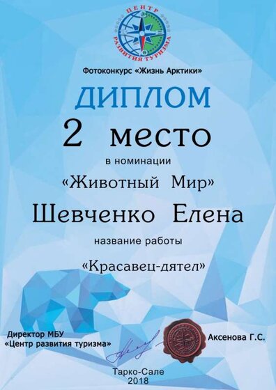 Диплом  Шевченко 2018г центр туризма.jpg