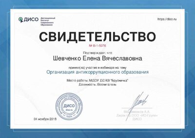 вебинар шевченко 04.11. 2018г.jpg