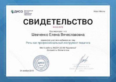 вебинар шевченко 2018г.jpg