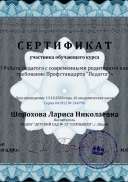 Сертификат Шорохова Лариса Николаевна - Серия 041912 № 244790.pdf.jpeg