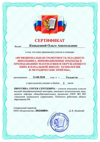 Пичугин С.С.pdf.jpeg