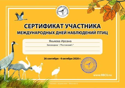 Яхьяева И..jpg
