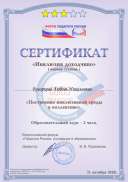 Инклюзия 3.jpg