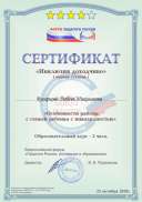 инклюзия 4.jpg