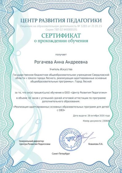 Сертификат Реализация адаптированных основных образовательных программ для детей.pdf.jpeg