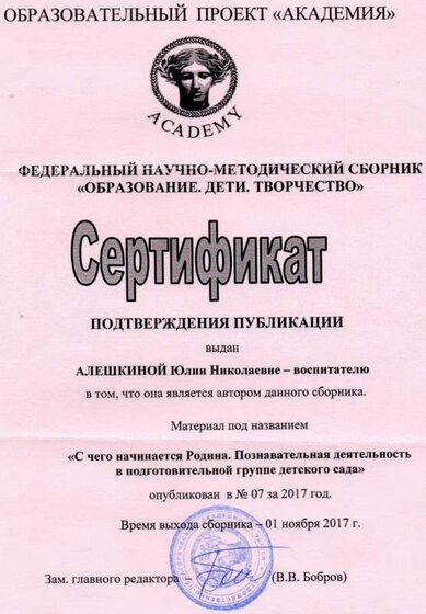 сертификат публикации 2017.jpg
