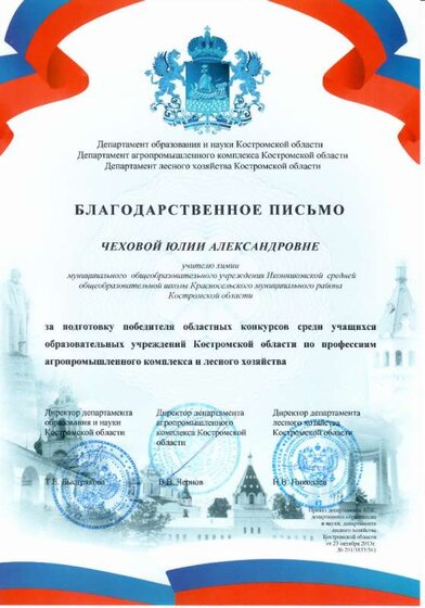 Благодарность ДОН,2013г 001.jpg