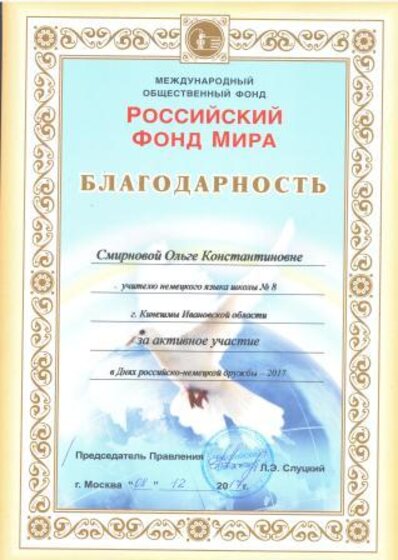 мне за активное участие 2017.jpg
