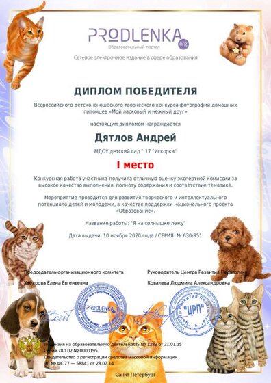 winner_diploma.pdf.jpeg