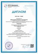 diplom_132949.pdf.jpeg