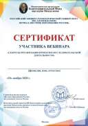 Сертификат участника вебинара ноябрь.pdf.jpg
