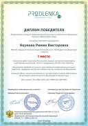 winner_diploma.pdf.jpeg