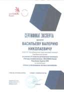 IV РЧ сертификат эксперта.png