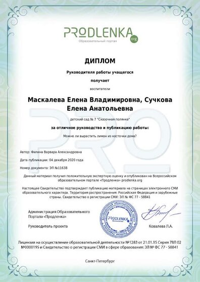 sertificat публикация лимон руководители.pdf.jpeg