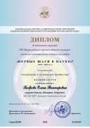 Боброва Елена Викторовна, диплом № 033695 (1).pdf.jpeg