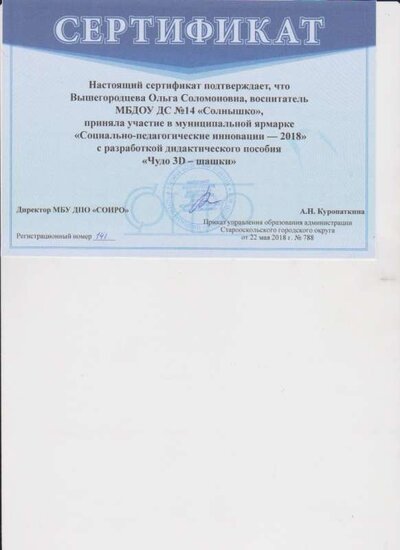 Сертификат Ярмарка 2018 Вышегородцева.jpg