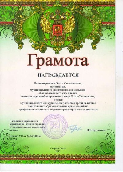вышегородцева.jpeg