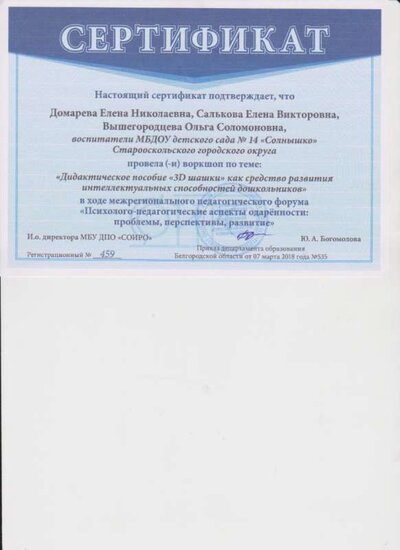 Сертификат Воркшоп.png