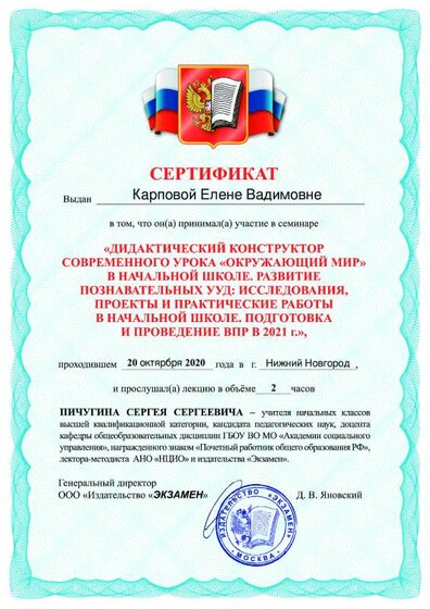 Пичугин 20.10.pdf.jpeg