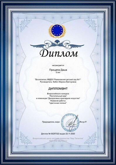 diploma (3).jpg