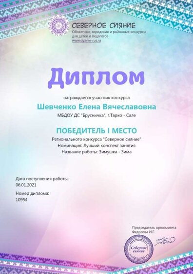 диплом 6.01 северное сияние.jpg