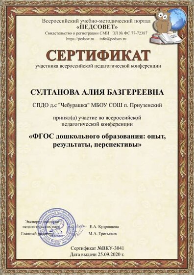 сертификат  педсовет.jpg