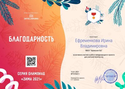 Ефременкова Ирина Владимировна - благодарность.png