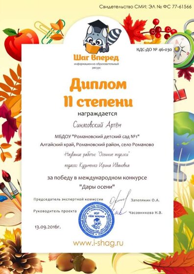 КДС-ДО № 46-030-Синяговский Артём.jpg