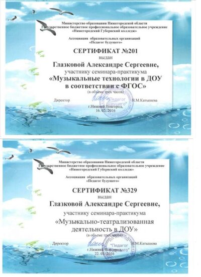 СЕРТИФИКАТ 2016.jpg