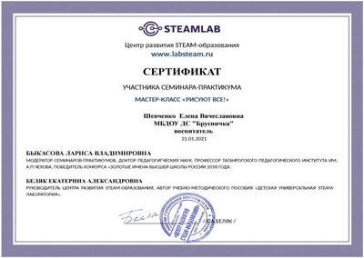 Сертификат семинар Steam.jpg
